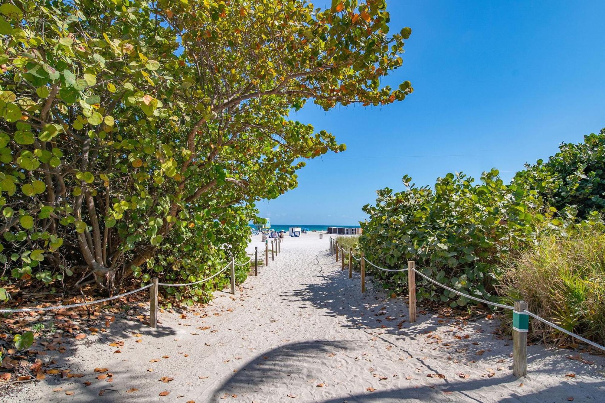 Charming Large Studio Near Ocean Dr - South Beach Miami Beach Luaran gambar